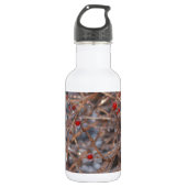 Eisberries Edelstahlflasche (Vorderseite)