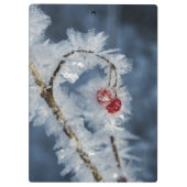 Eisberries Klemmbrett (Rückseite)