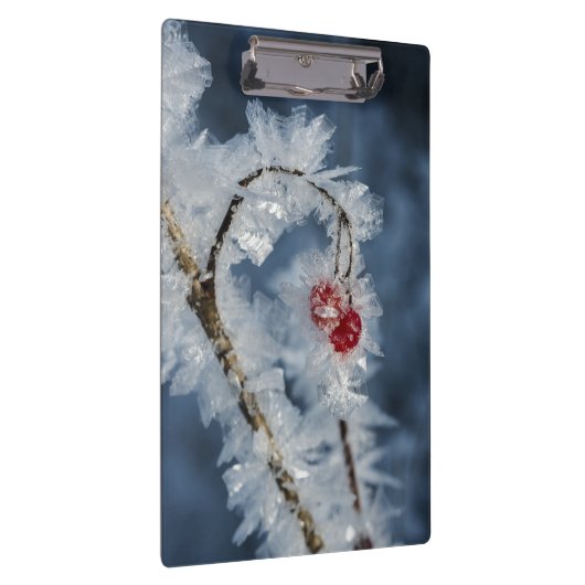 Eisberries Klemmbrett (Rechts)