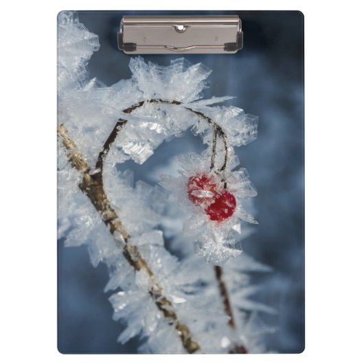 Eisberries Klemmbrett (Vorderseite)