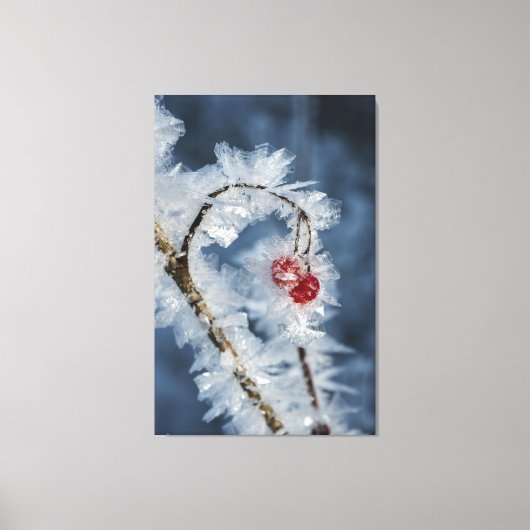 Eisberries Leinwanddruck (Vorderseite)