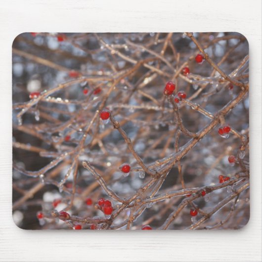 Eisberries Mousepad (Vorne)