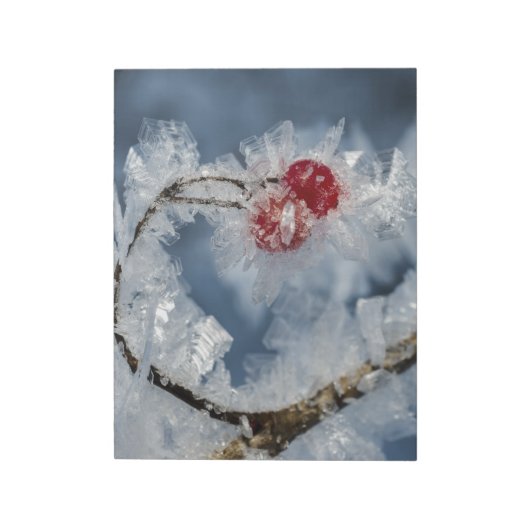 Eisberries Notizblock (Rotiert)