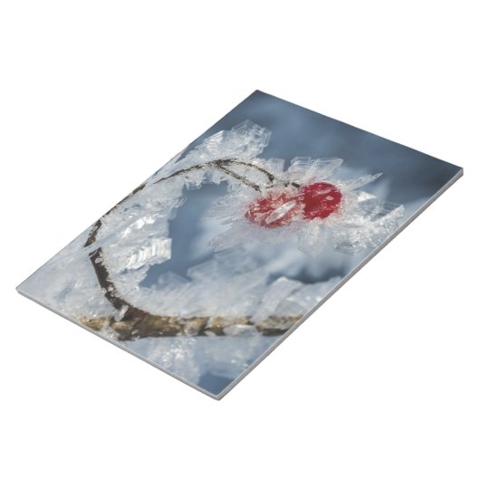 Eisberries Notizblock (angewinkelt)