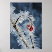 Eisberries Poster (Vorne)