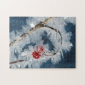 Eisberries Puzzle (Horizontal)