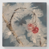 Eisberries Steinuntersetzer (Vorderseite)