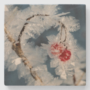 Eisberries Steinuntersetzer