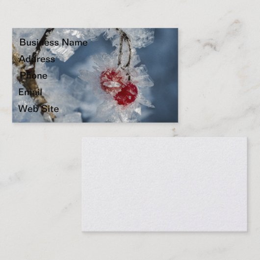 Eisberries Visitenkarte (Vorne/Hinten)
