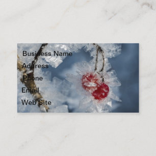 Eisberries Visitenkarte