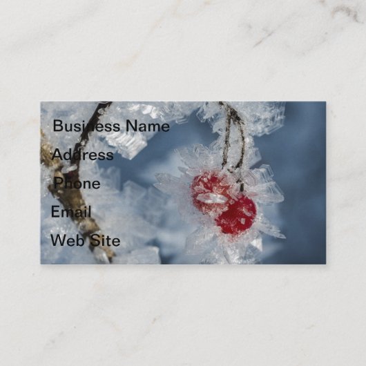 Eisberries Visitenkarte (Vorderseite)