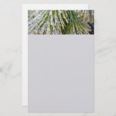 Eisbeschichtete Kiefernneedles Winter Botanisch Briefpapier (Vorne/Hinten)