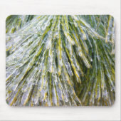 Eisbeschichtete Kiefernneedles Winter Botanisch Mousepad (Vorne)