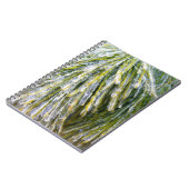 Eisbeschichtete Kiefernneedles Winter Botanisch Notizblock (Linke Seite)