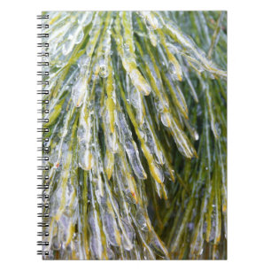 Eisbeschichtete Kiefernneedles Winter Botanisch Notizblock
