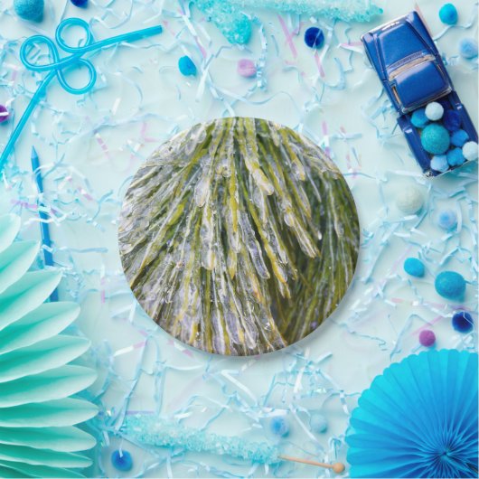 Eisbeschichtete Kiefernneedles Winter Botanisch Pappteller (Party)