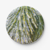 Eisbeschichtete Kiefernneedles Winter Botanisch Pappteller (Vorderseite)