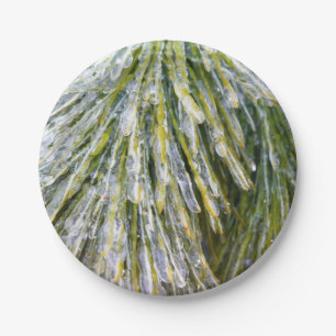Eisbeschichtete Kiefernneedles Winter Botanisch Pappteller