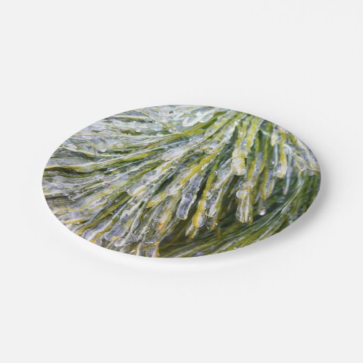 Eisbeschichtete Kiefernneedles Winter Botanisch Pappteller (Schrägansicht)