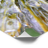 Eisbeschichtete Kiefernneedles Winter Botanisch Poster (Ecke)