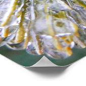 Eisbeschichtete Kiefernneedles Winter Botanisch Poster (Ecke)