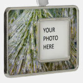 Eisbeschichtete Kiefernneedles Winter Botanisch Rahmen-Ornament Silber (Rechts)