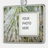 Eisbeschichtete Kiefernneedles Winter Botanisch Rahmen-Ornament Silber (Links)