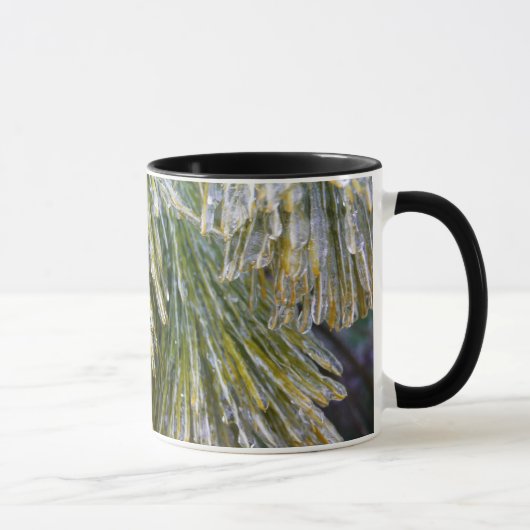 Eisbeschichtete Kiefernneedles Winter Botanisch Tasse (Rechts)