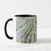 Eisbeschichtete Kiefernneedles Winter Botanisch Tasse (Links)