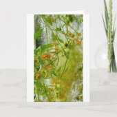 Eisblüten, Karte (Vorderseite)