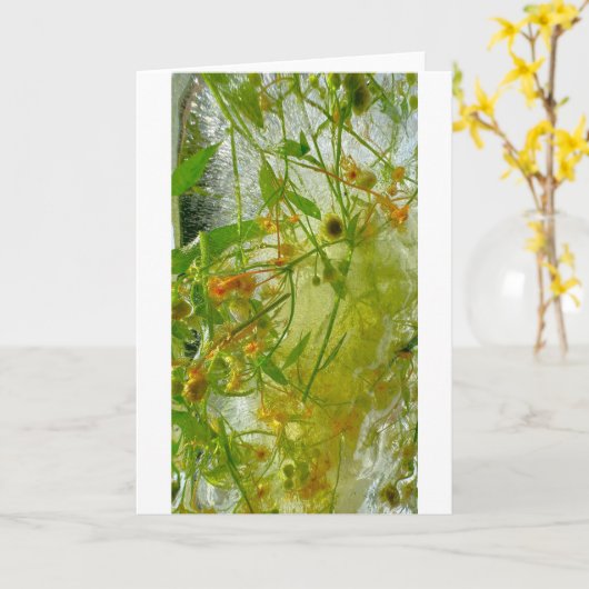 Eisblüten, Karte (Gelbe Blume)