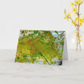 Eisblüten, Karte (Gelbe Blume)