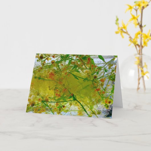 Eisblüten, Karte (Gelbe Blume)