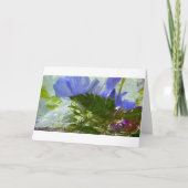 Eisblüten, Karte (Vorderseite)