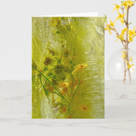 Eisblüten, Karte (Gelbe Blume)