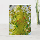 Eisblüten, Karte (Vorderseite)