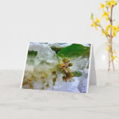 Eisblüten, Karte (Gelbe Blume)