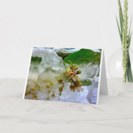 Eisblüten, Karte