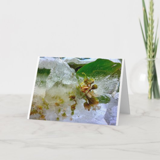 Eisblüten, Karte (Vorderseite)