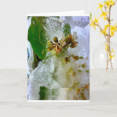 Eisblüten, Karte (Gelbe Blume)