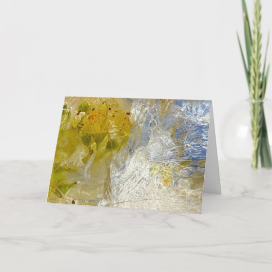 Eisblüten, Karte (Vorderseite)