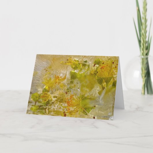 Eisblüten, Karte (Vorderseite)