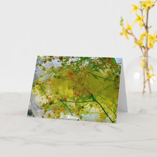 Eisblüten, Karte (Gelbe Blume)