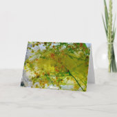 Eisblüten, Karte (Vorderseite)