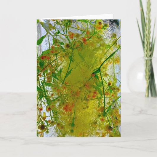 Eisblüten, Karte (Vorderseite)