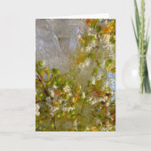 Eisblüten, Karte (Vorderseite)