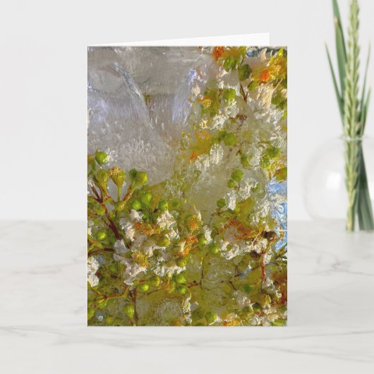 Eisblüten, Karte (Vorderseite)