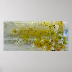 Eisblüten, Poster