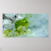 Eisblüten, Poster (Vorne)