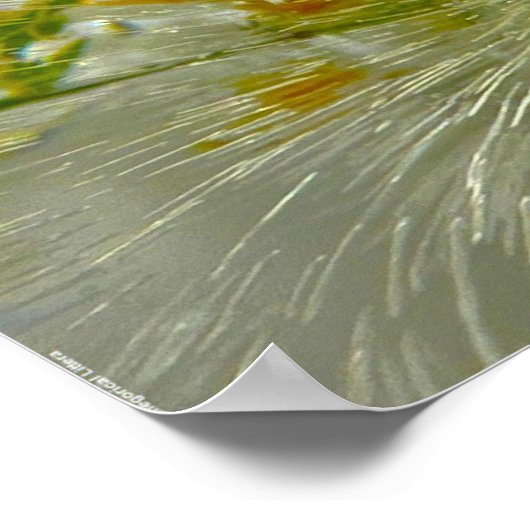 Eisblüten, Poster (Ecke)